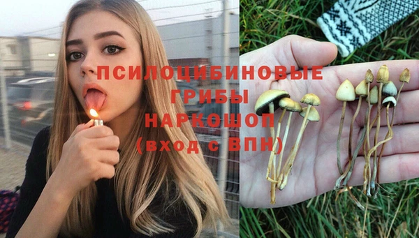 таблы Медногорск