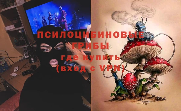 амф Мегион