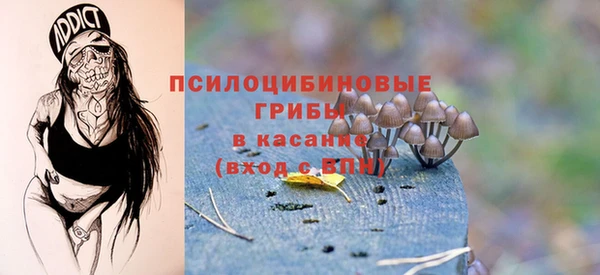 таблы Медногорск