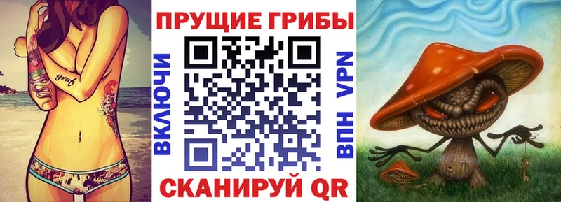 Псилоцибиновые грибы Psilocybine cubensis  купить наркоту  блэк спрут   Копейск 