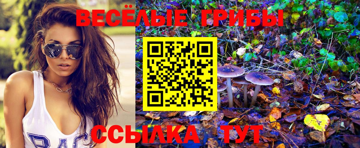 Галлюциногенные грибы Psilocybine cubensis Копейск